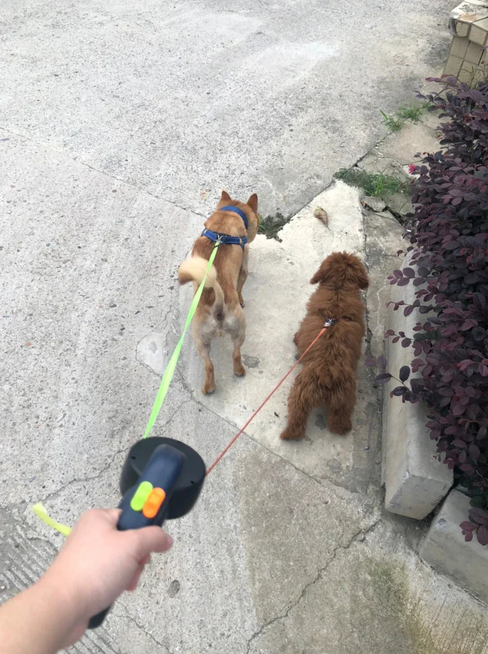 Heavy-Duty Retractable Dog Leash β Tangle-Free & Durable