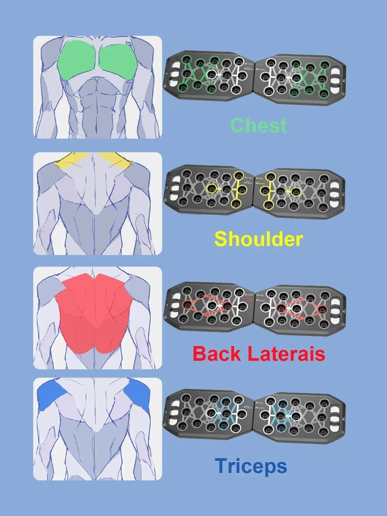 Color-Coded Push-Up Board β Full-Body Workout System